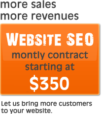 2 Steps Solutions SEO Services